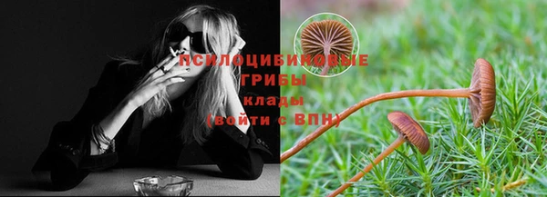 бошки Арсеньев