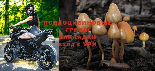 прущие крисы Аркадак