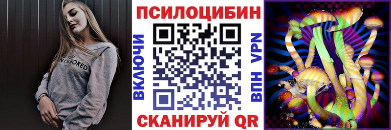 Псилоцибиновые грибы Psilocybe  Калач 